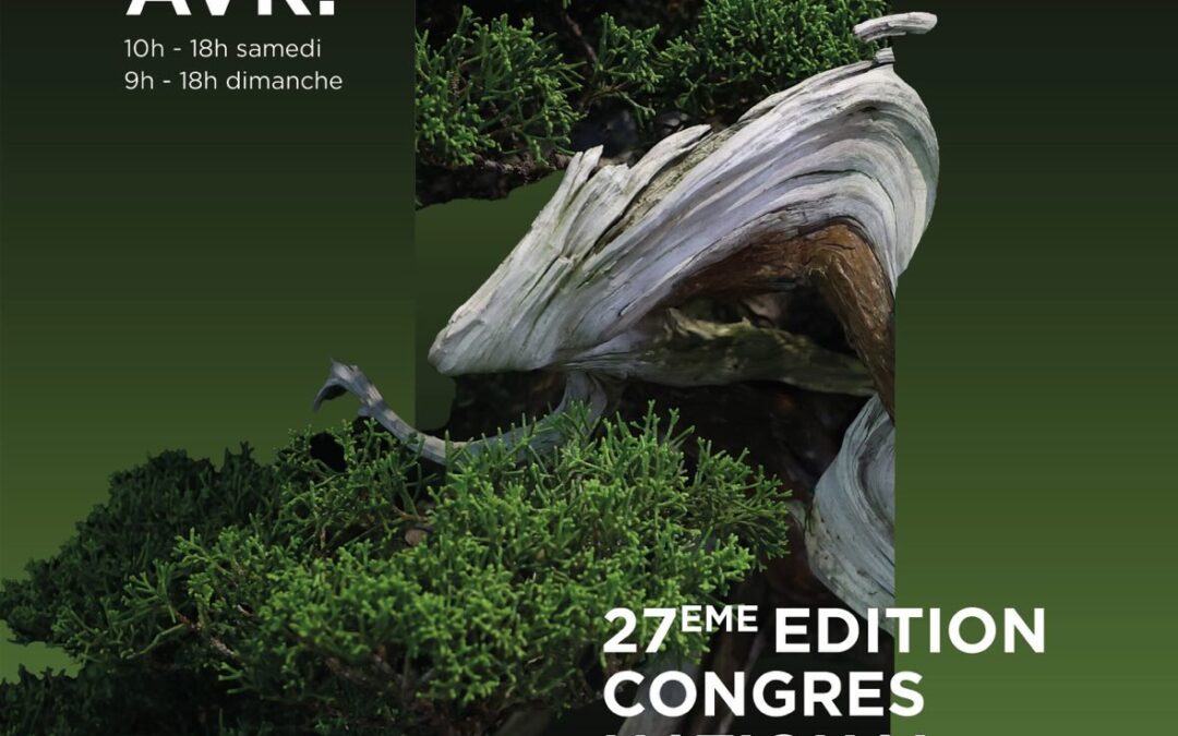 Entre Cime et Encre : Retrouvez-moi au Congrès National du Bonsaï à Montrond-les-Bains